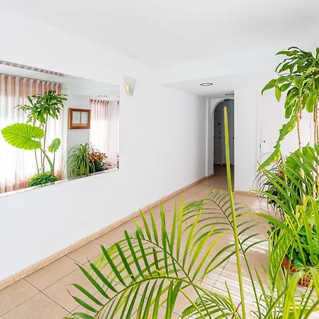 Appartement 797 - In Close To